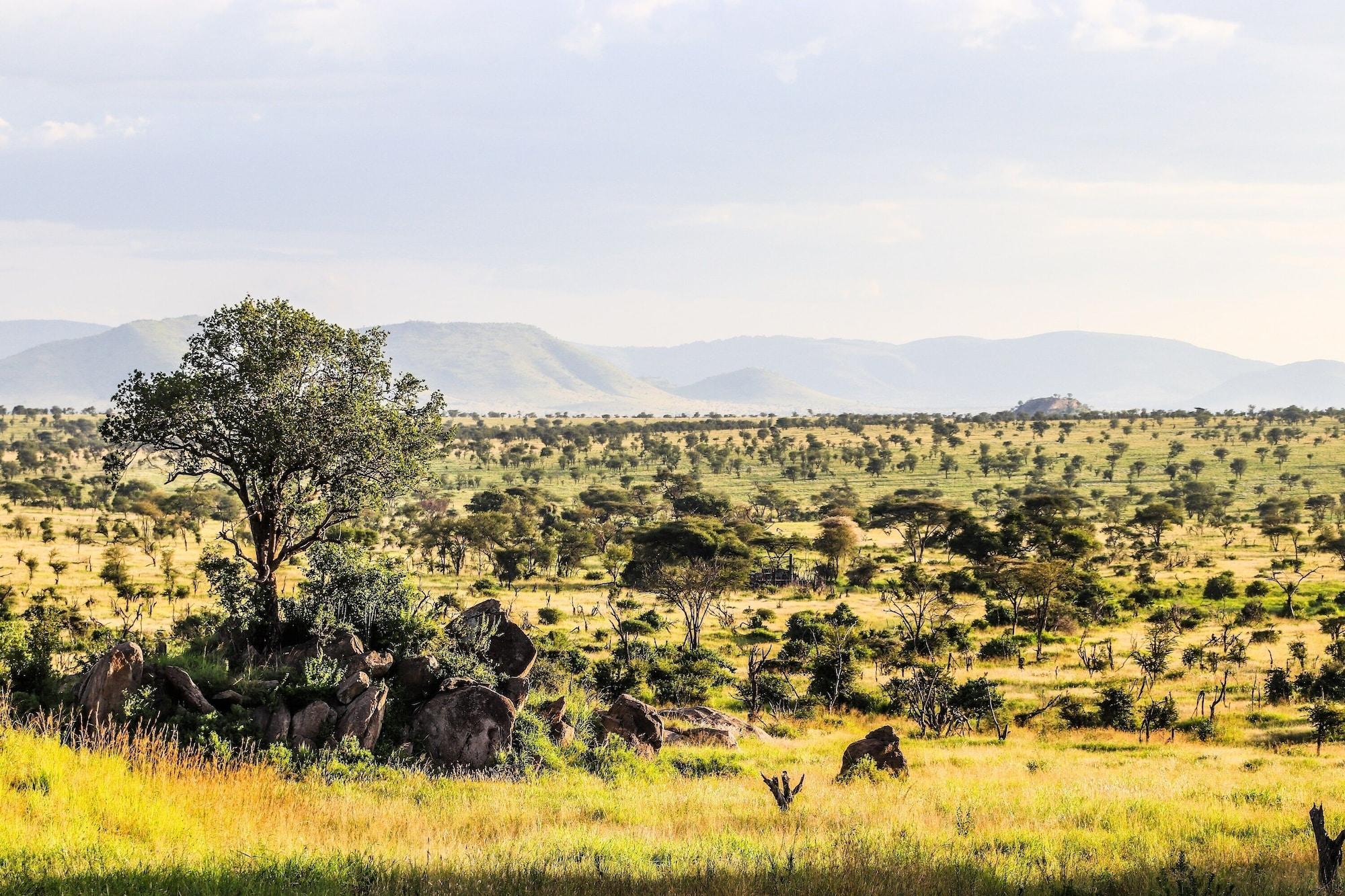 Four Seasons Safari Lodge Serengeti Banagi Esterno foto