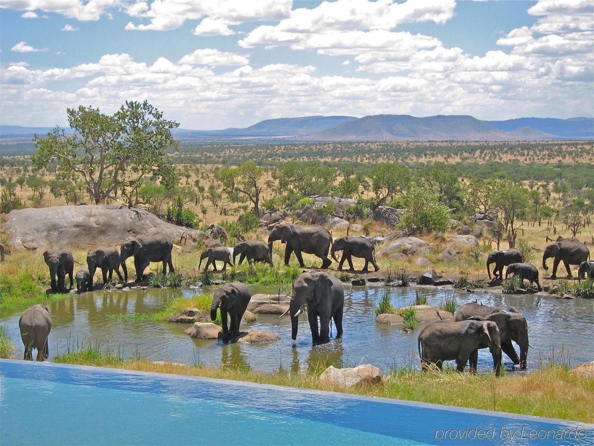 Four Seasons Safari Lodge Serengeti Banagi Esterno foto