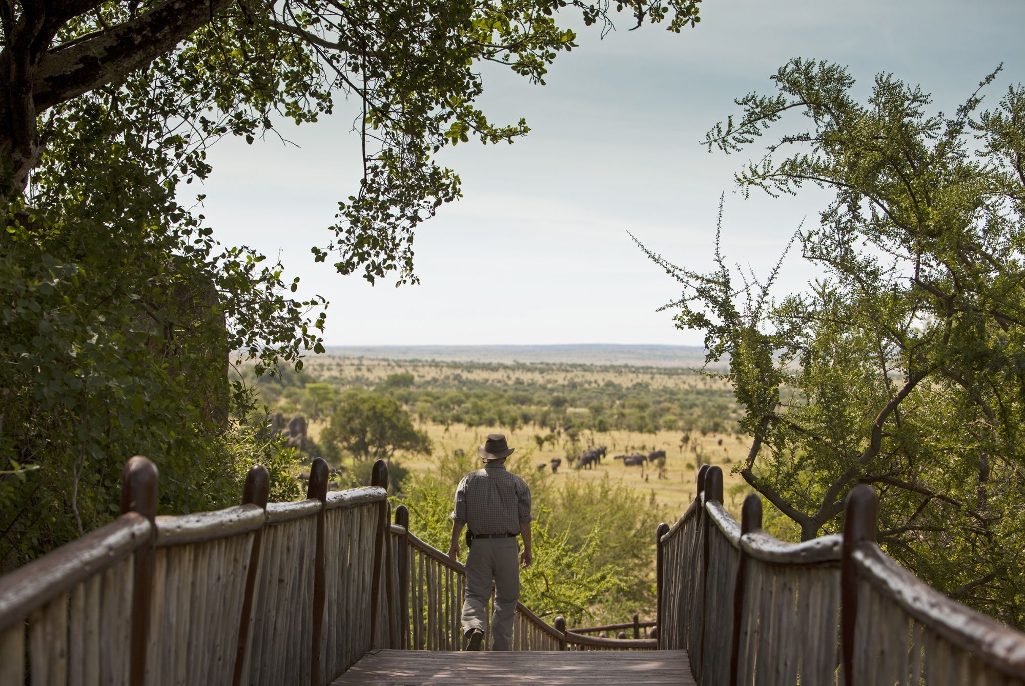Four Seasons Safari Lodge Serengeti Banagi Esterno foto