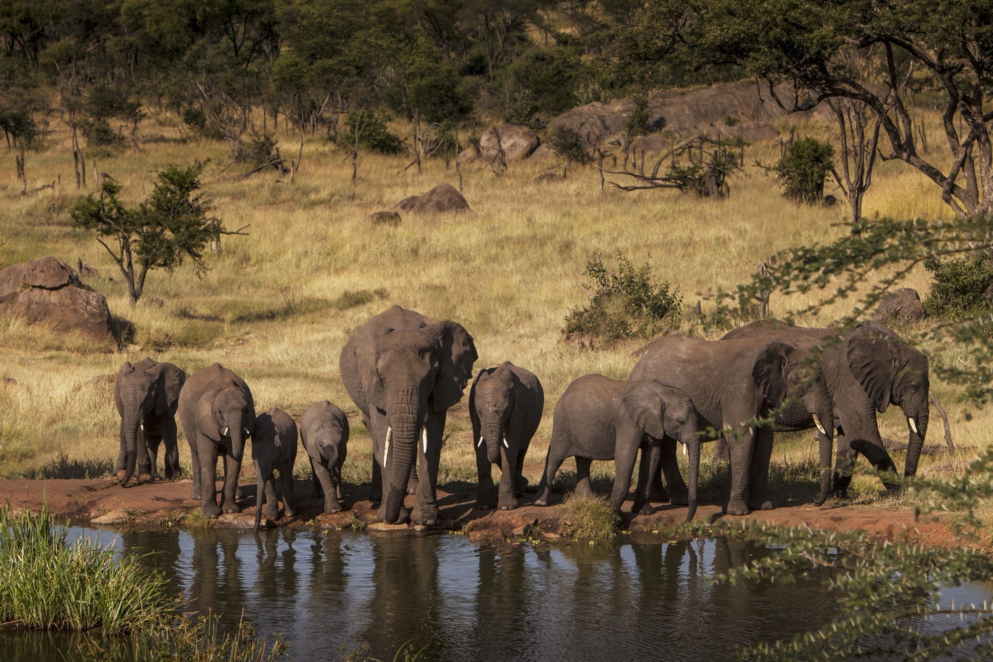 Four Seasons Safari Lodge Serengeti Banagi Esterno foto